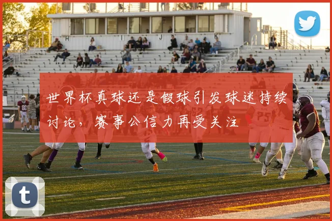 世界杯真球还是假球引发球迷持续讨论,赛事公信力再受关注