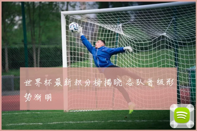 世界杯最新积分榜揭晓 各队晋级形势渐明