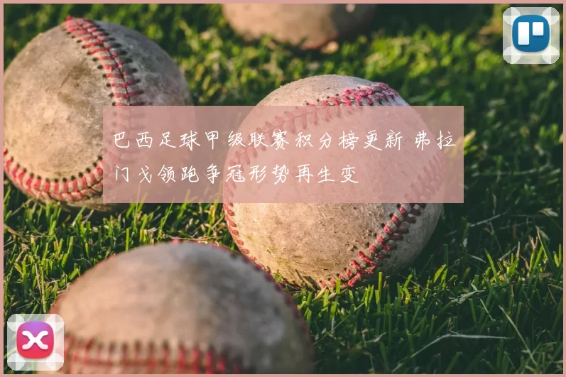 巴西足球甲级联赛积分榜更新 弗拉门戈领跑争冠形势再生变